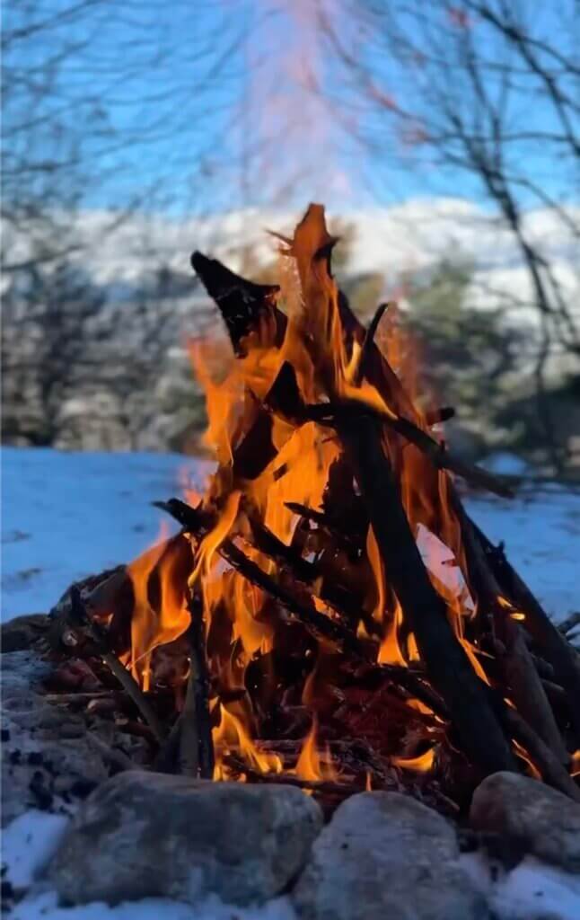 Bushcraft – Learn to Survive in Nature
