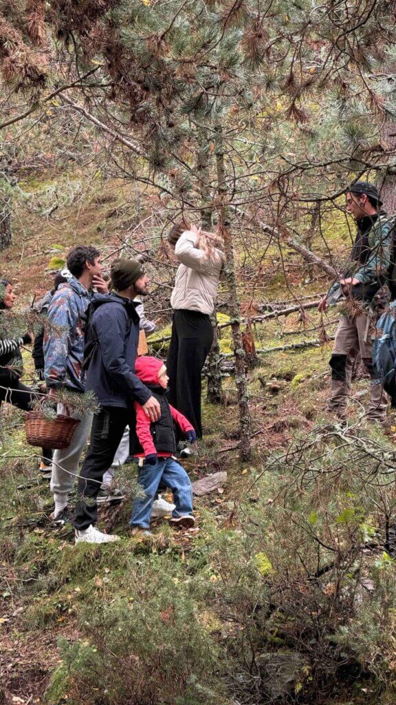 From Forest to the bottle: Pacharán Workshop