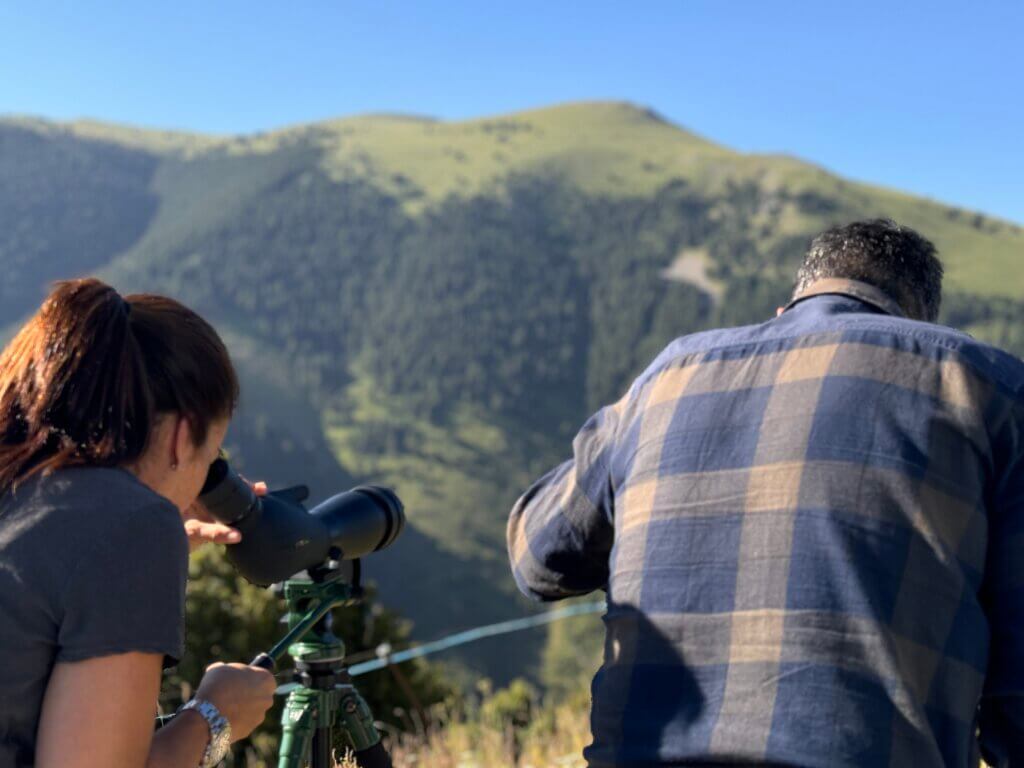 Experiences – On Demand